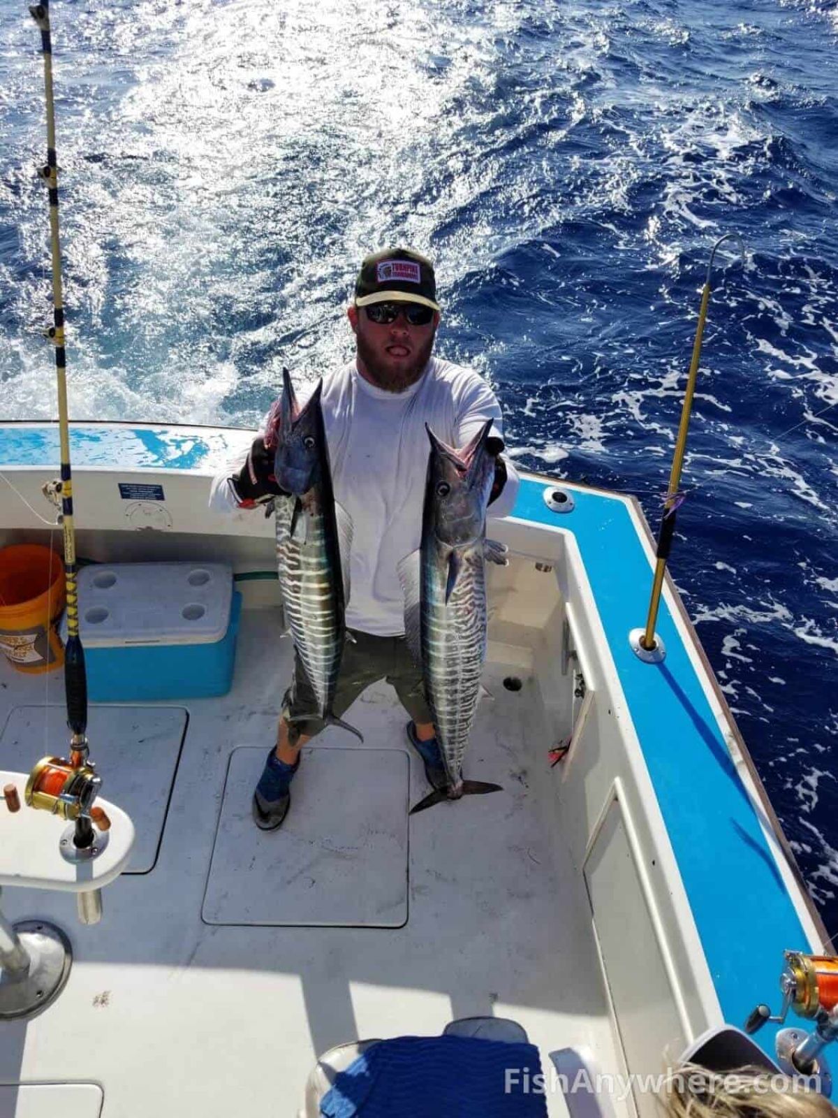 Wahoo Fishing in Florida What You Need to Know FishAnywhere